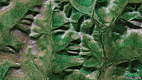 Green Entities, taken from BBC