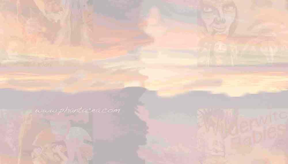 Beach sunset over Witch Babs promo, prepared by Jim McPherson, 2016