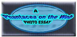PHANTACEA on the Web Photo Essay logo