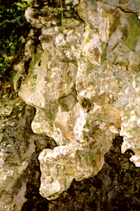 Close up of the Sedonic head in Sintra, Portugal, shot by JIm McPherson, 2008