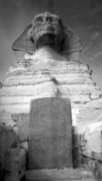 [Photograph of Egyptian Sphinx, taken from The Message of the Sphinx by Hancock and Bauval, 1996]